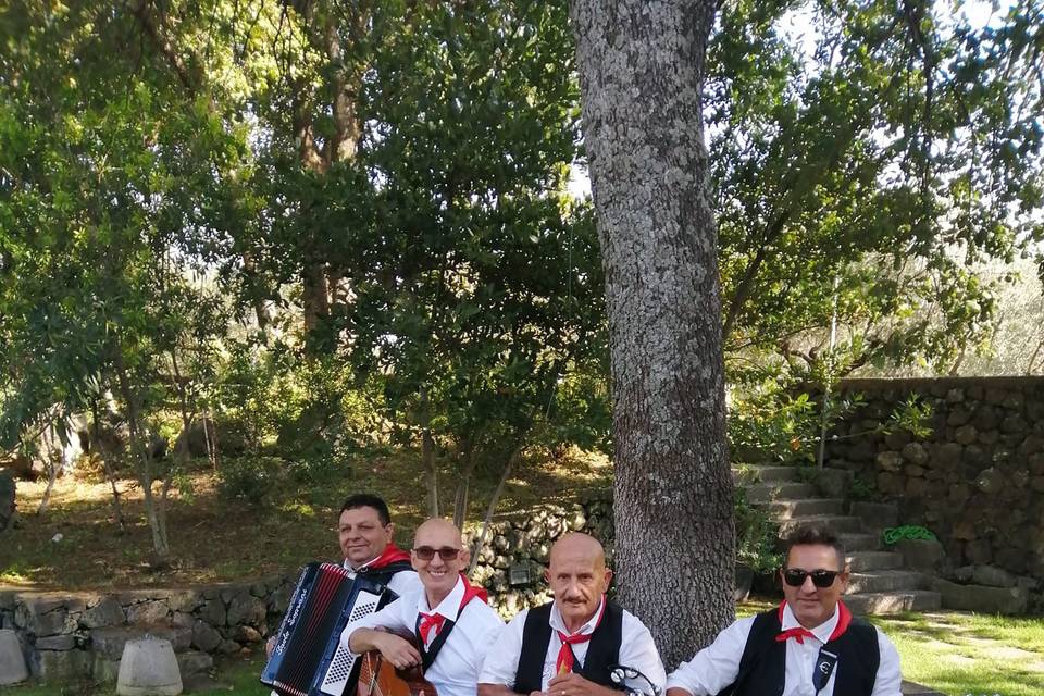 Zona Pietramarina Vigneti