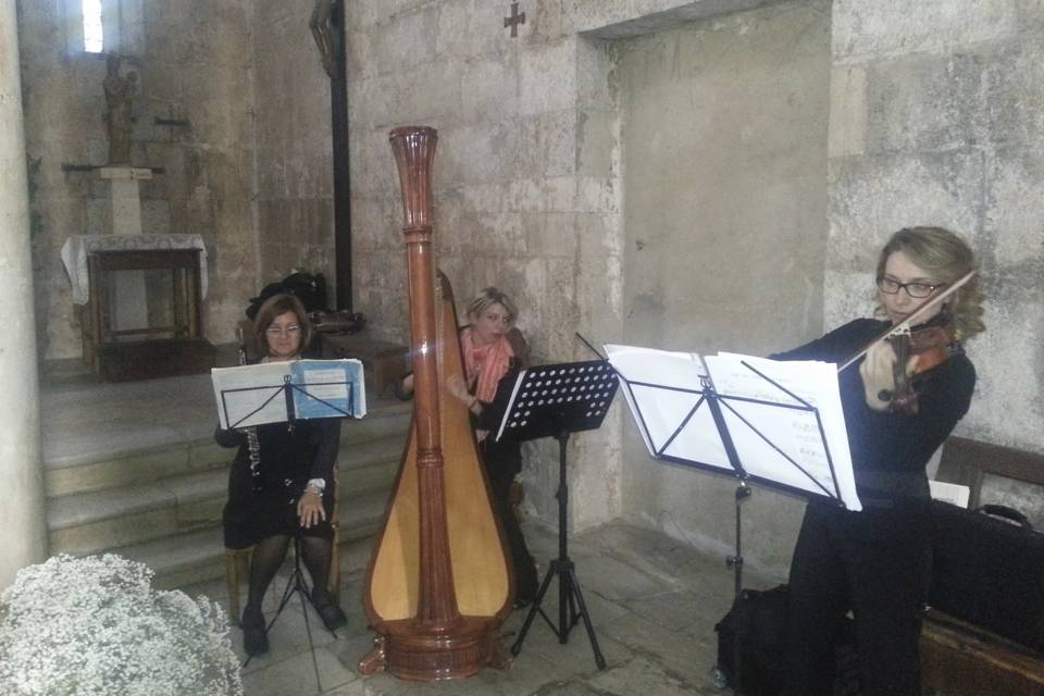 Trio arpa, violino e oboe