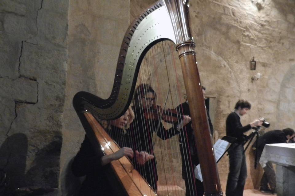 Violino e arpa cerimonia