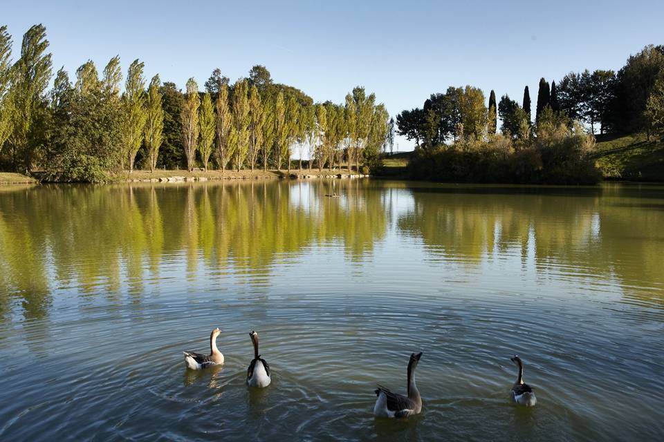 Il lago