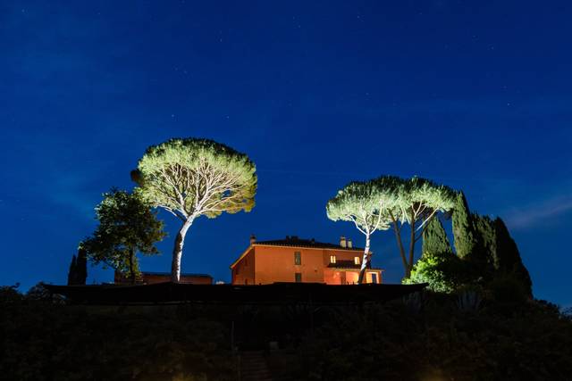 Civettaio
