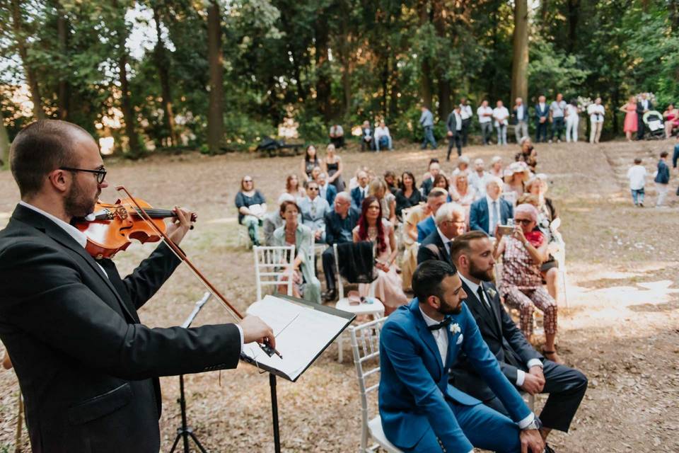 Violino in cornice bucolica