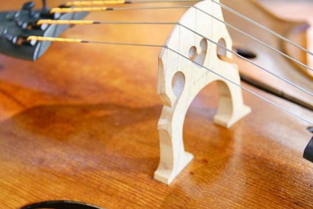 Musica matrimonio Savona