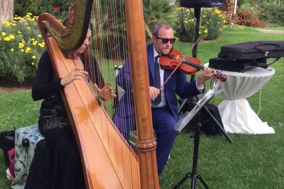 Arpa e Violino al Buffet