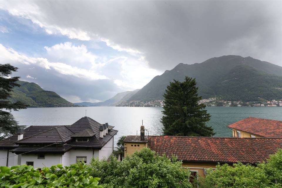 Vista