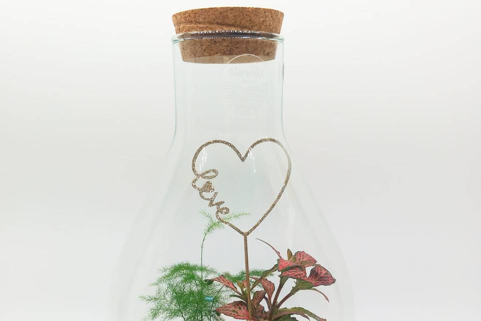 Terrarium per testimoni