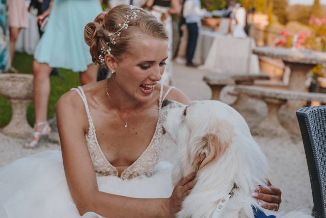 Canaglie da Matrimonio - Le tue Wedding Dog Sisters!