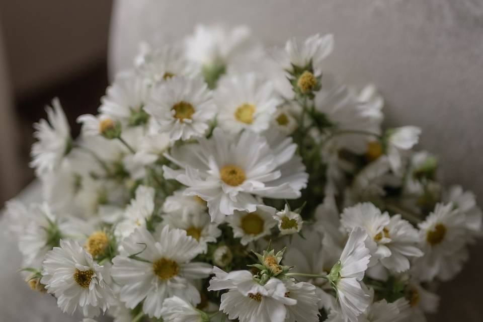 Bouquet di settembre