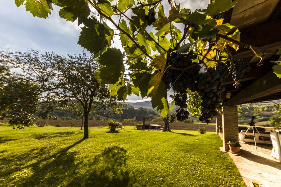 Giardino lato sud