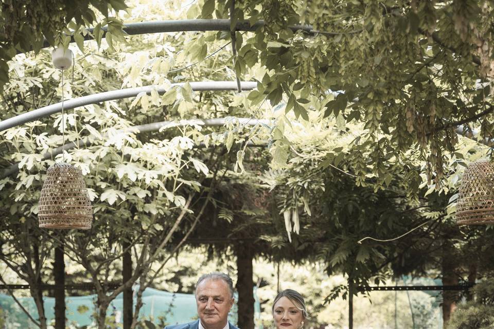 Wedding Division - Mixed Color
