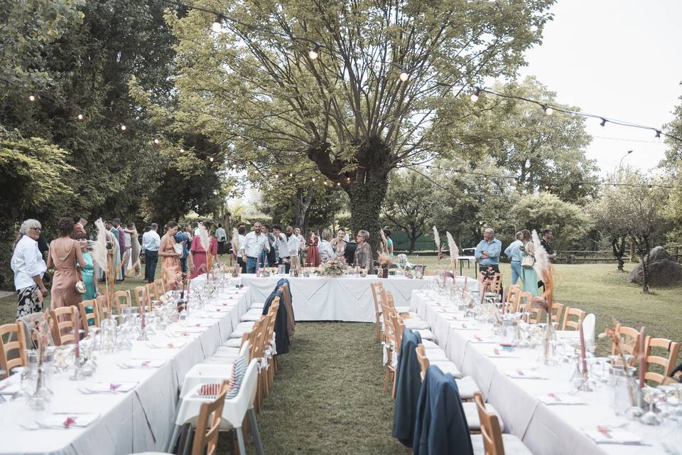 Wedding Division - Mixed Color