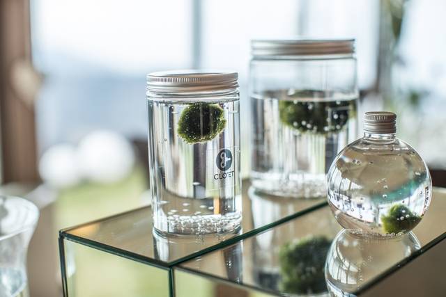 Marimo 30 Anni di Clo'eT design