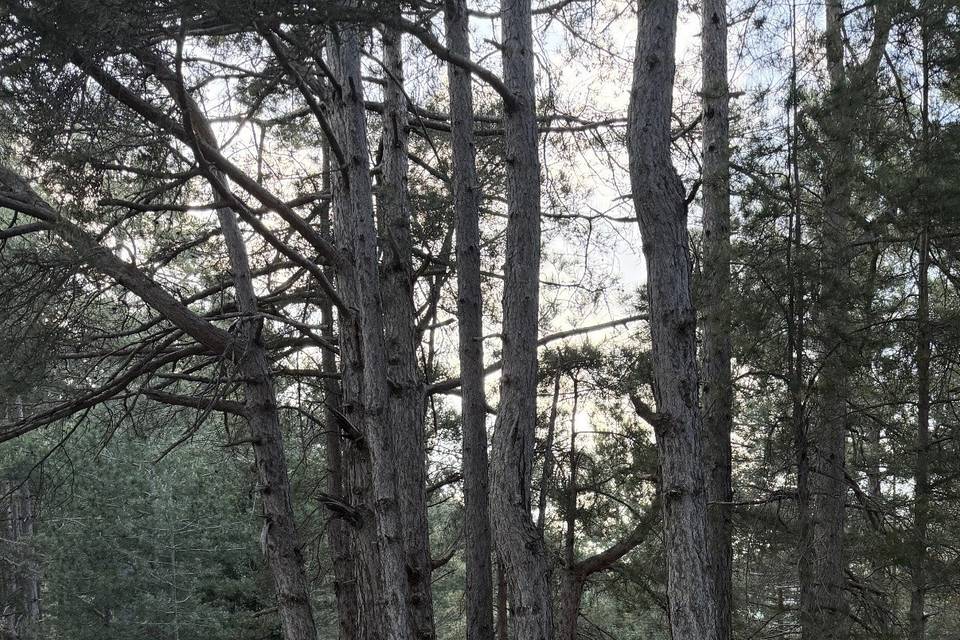 .