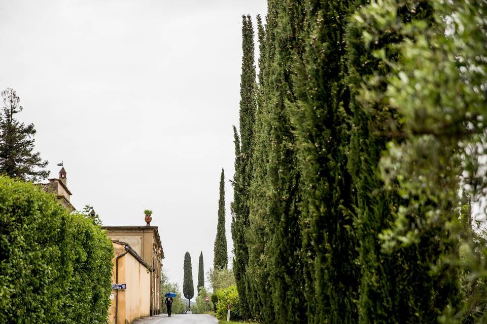 Cena in limonaia