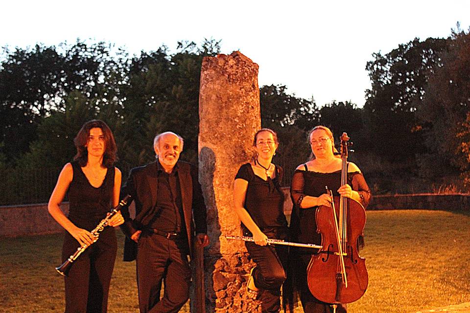 Musica evento