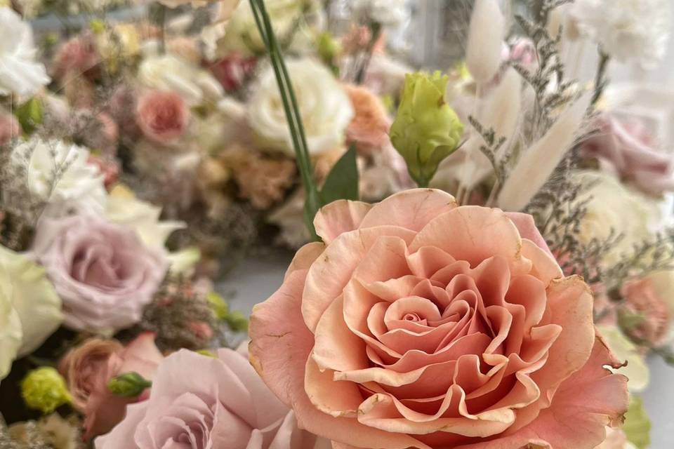 Fiori