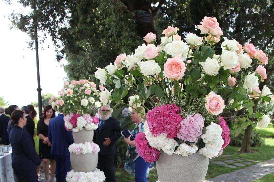 Fiori ortesie e rose