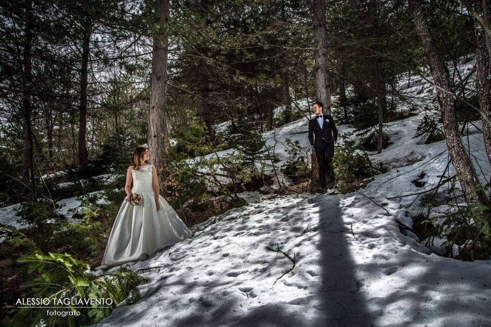 Winter Wedding