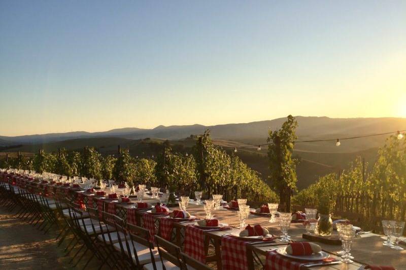 Matrimonio in vigna