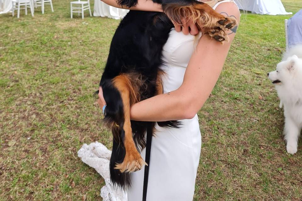 Barbara Pet Sitter - Wedding Dog Sitter