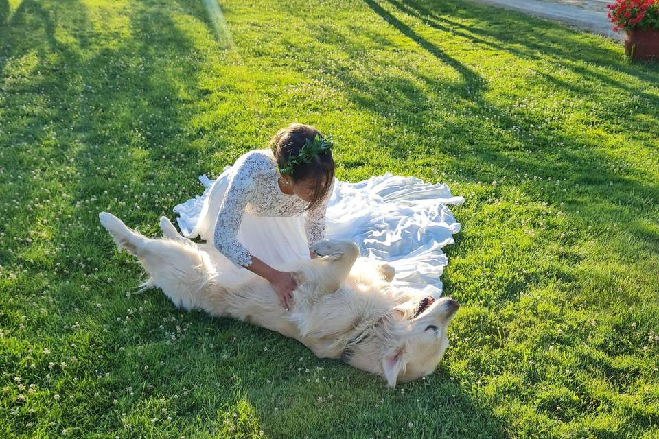 Barbara Pet Sitter - Wedding Dog Sitter