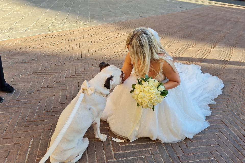 Barbara Pet Sitter - Wedding Dog Sitter