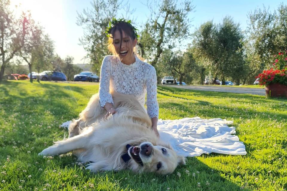 Barbara Pet Sitter - Wedding Dog Sitter