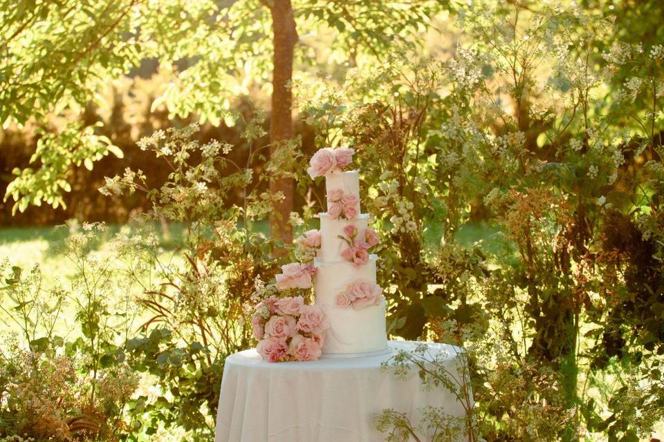 Taglio torta nel parco