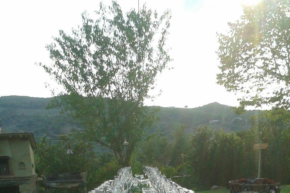 Orcia in fiore