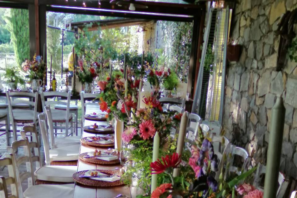 Mise en place multicolor
