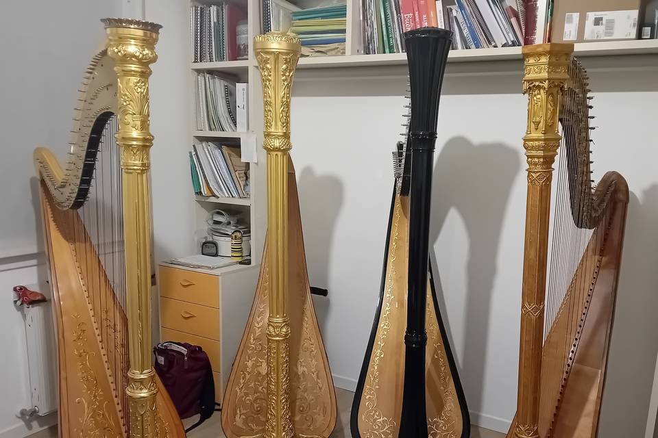 Le mie arpe