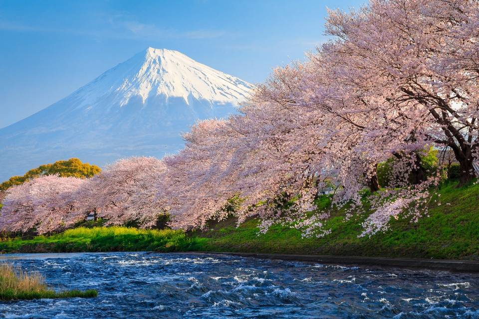 Monte Fuji