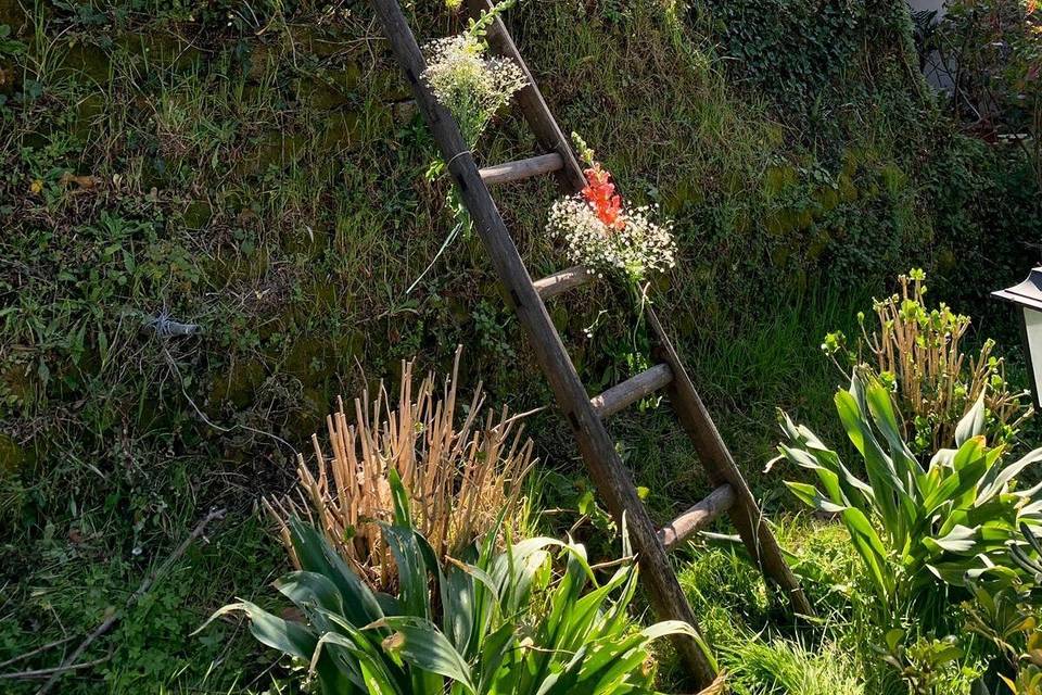 Il nostro giardino