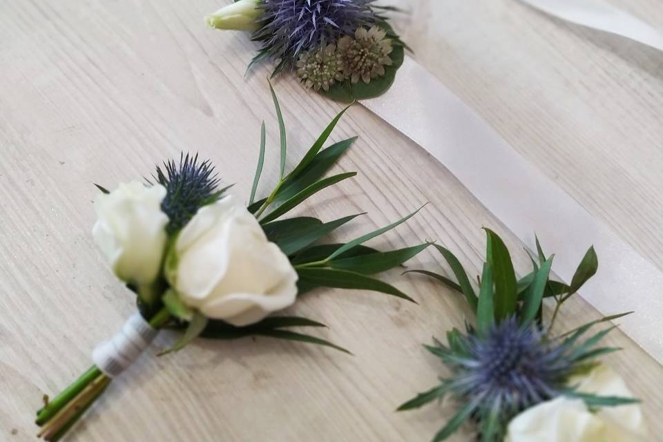 Boutonniere stellate