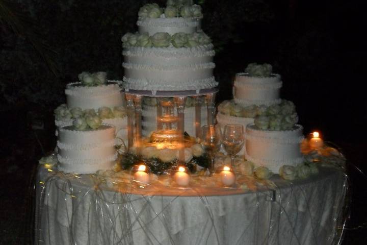 Torta Matrimonio Ginepri giugno 2011