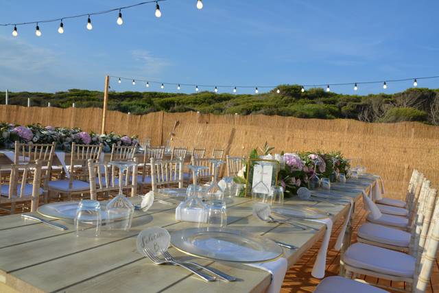 V&M Wedding