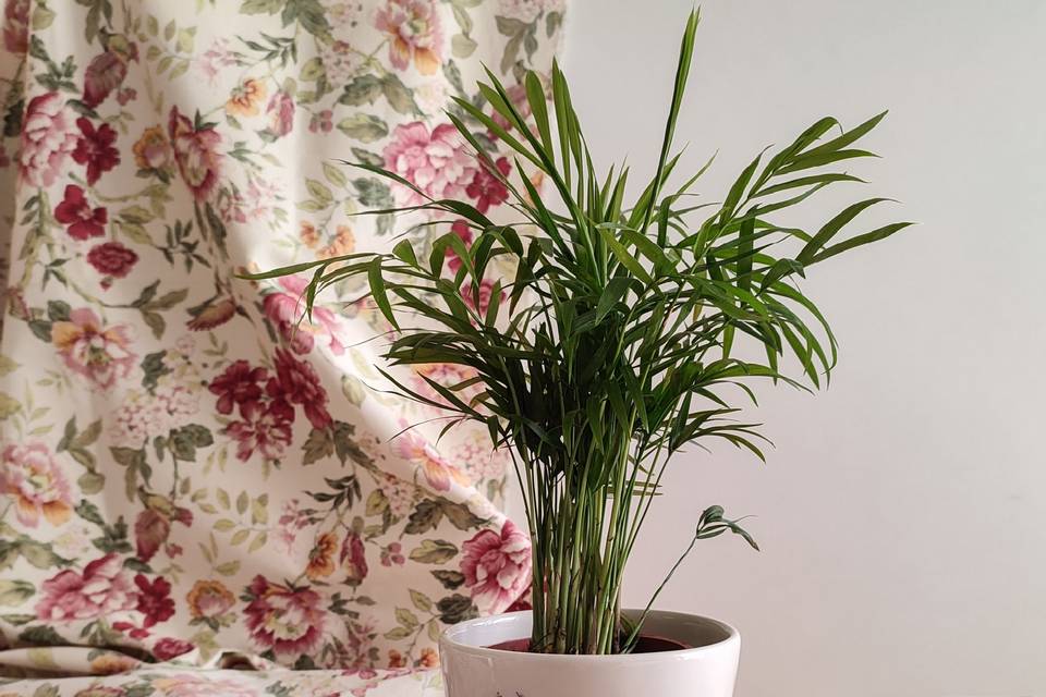 Vaso da fiori