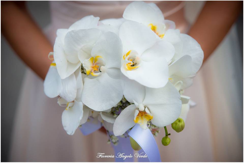 Ilenia Zanoni Floral & Wedding Design