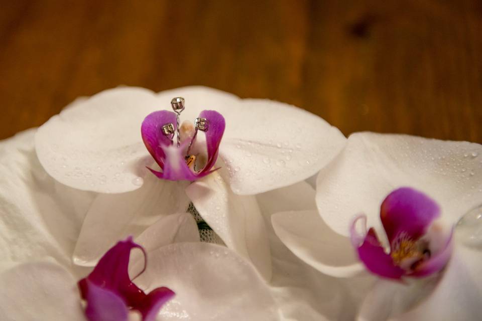 Bouquet con phalaenopsis