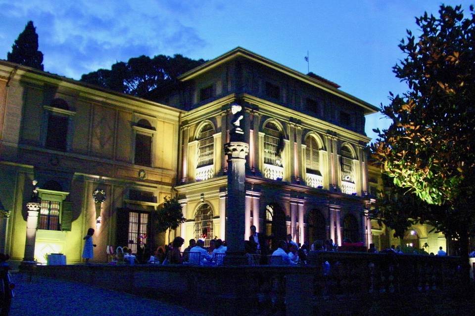 Museo by night