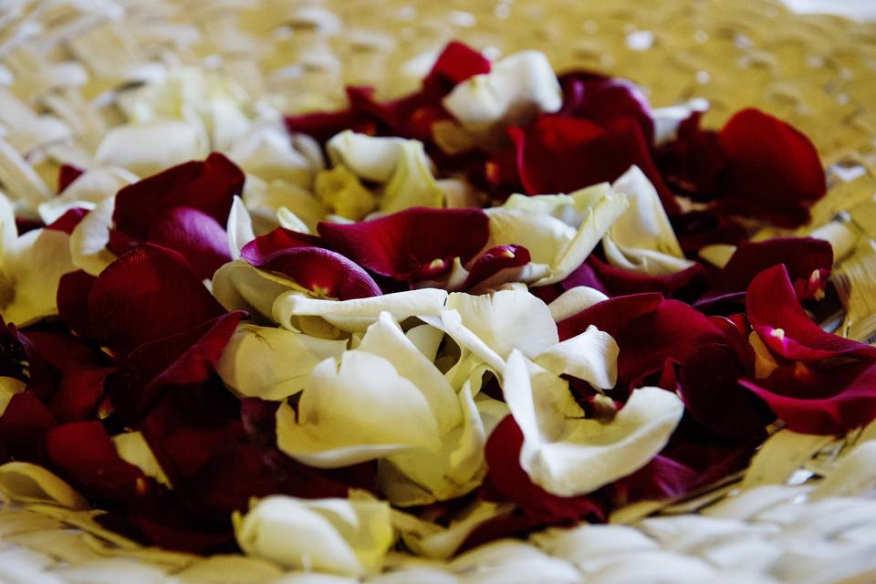 Petali