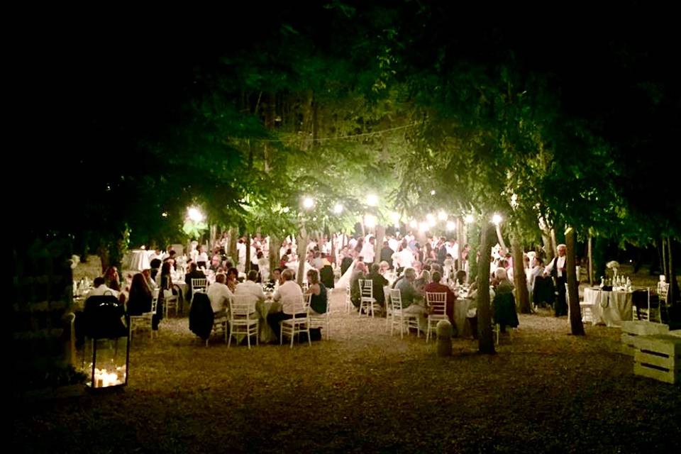 Matrimonio nel Bosco