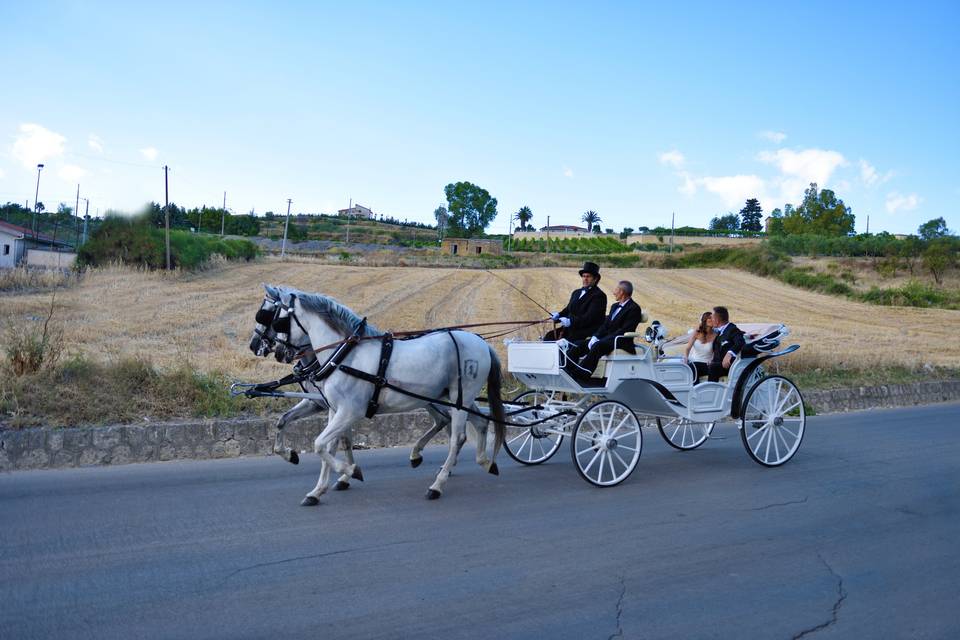 Giacomo e Laura 2016