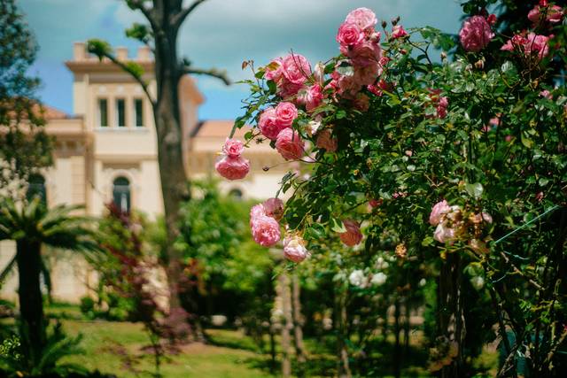 Giardino ornamentale