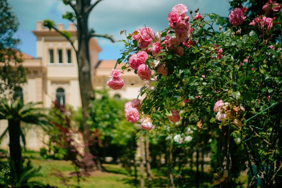 Giardino ornamentale