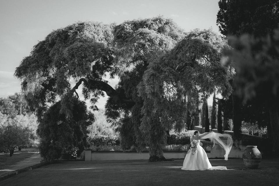 Aurea Wedding Photo & Video