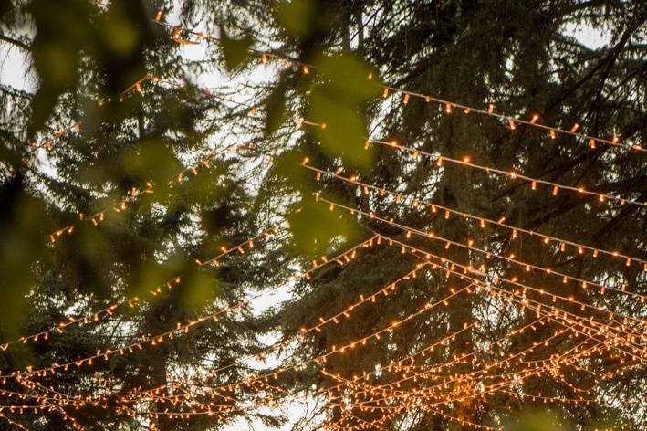 Cena nel bosco