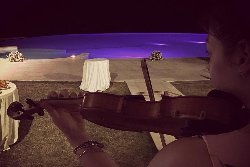 Violin