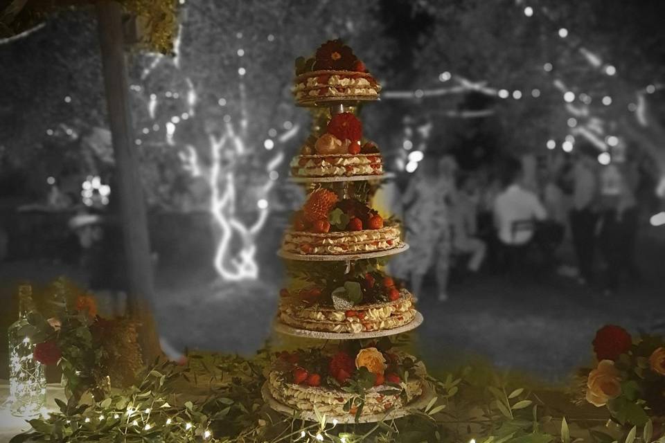 Modern  wedding cake