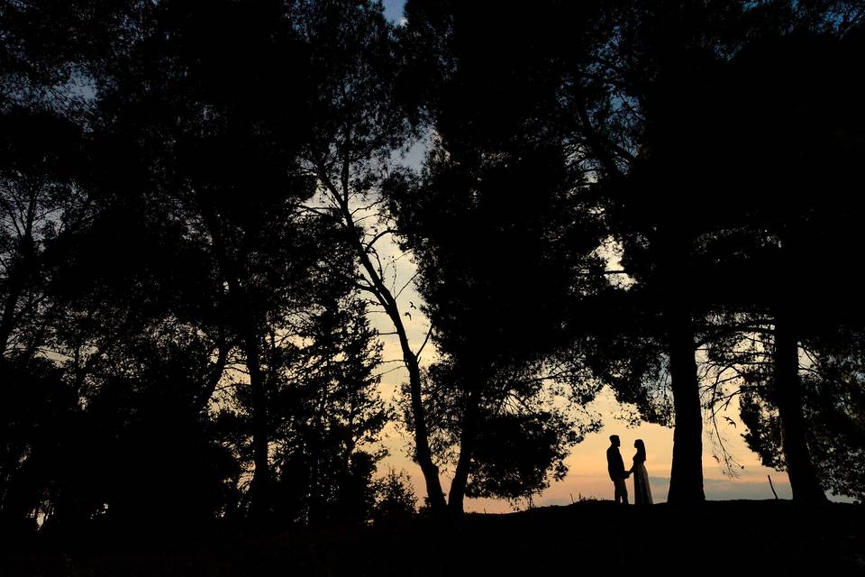 Amore nel bosco